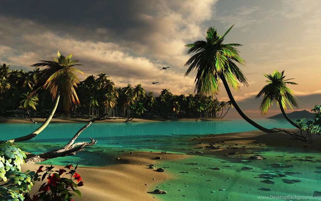 1920x1200 Droopy Palms Desktop PC And Mac Wallpapers