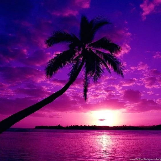 pretty purple backgrounds desktop background