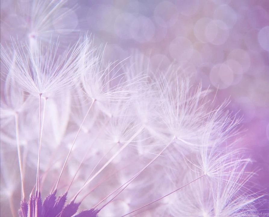 Pretty, Backgrounds, Textures Free Images On Pixabay