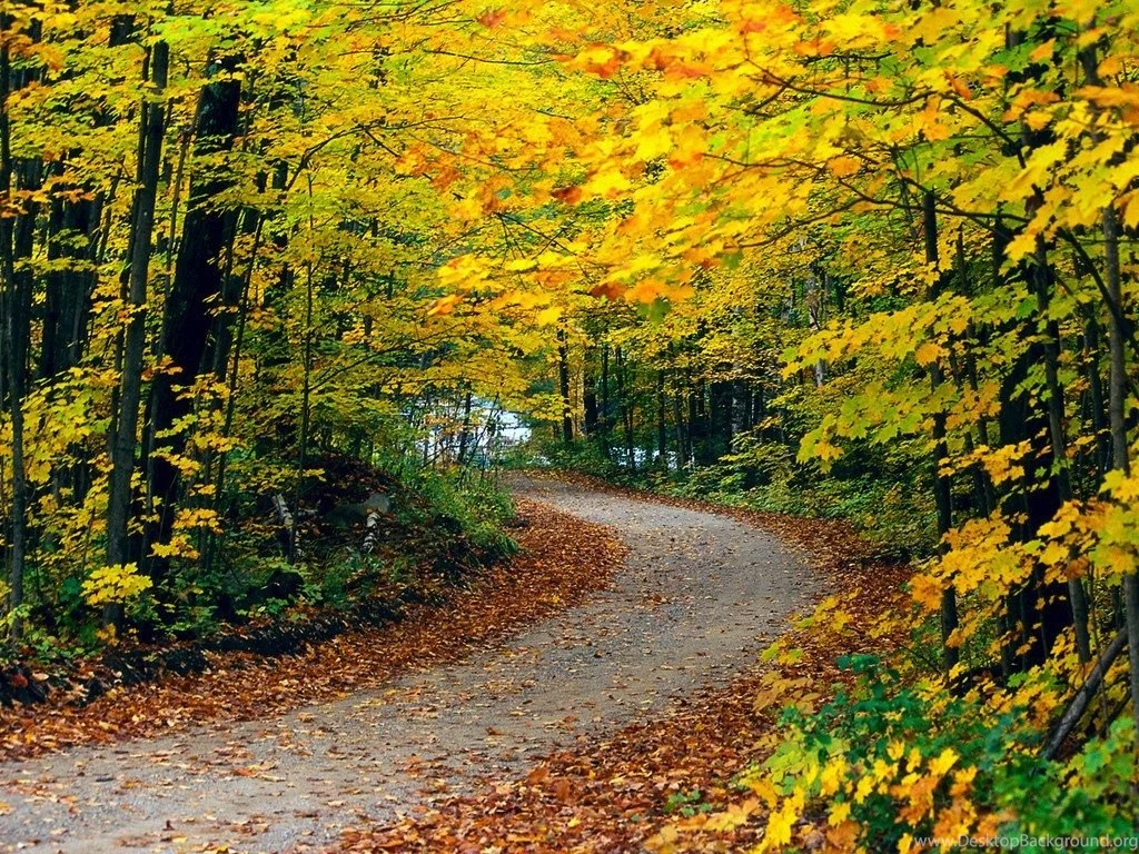 Top 35 Beautiful And Fabulous Paths Wallpapers In HD