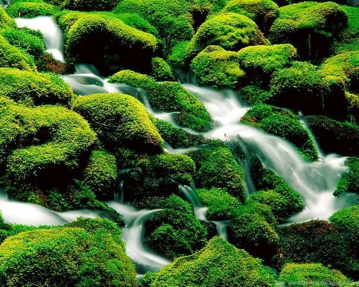 Most Favorite Nature Landscape Wallpapers 11 Wallcoo.net