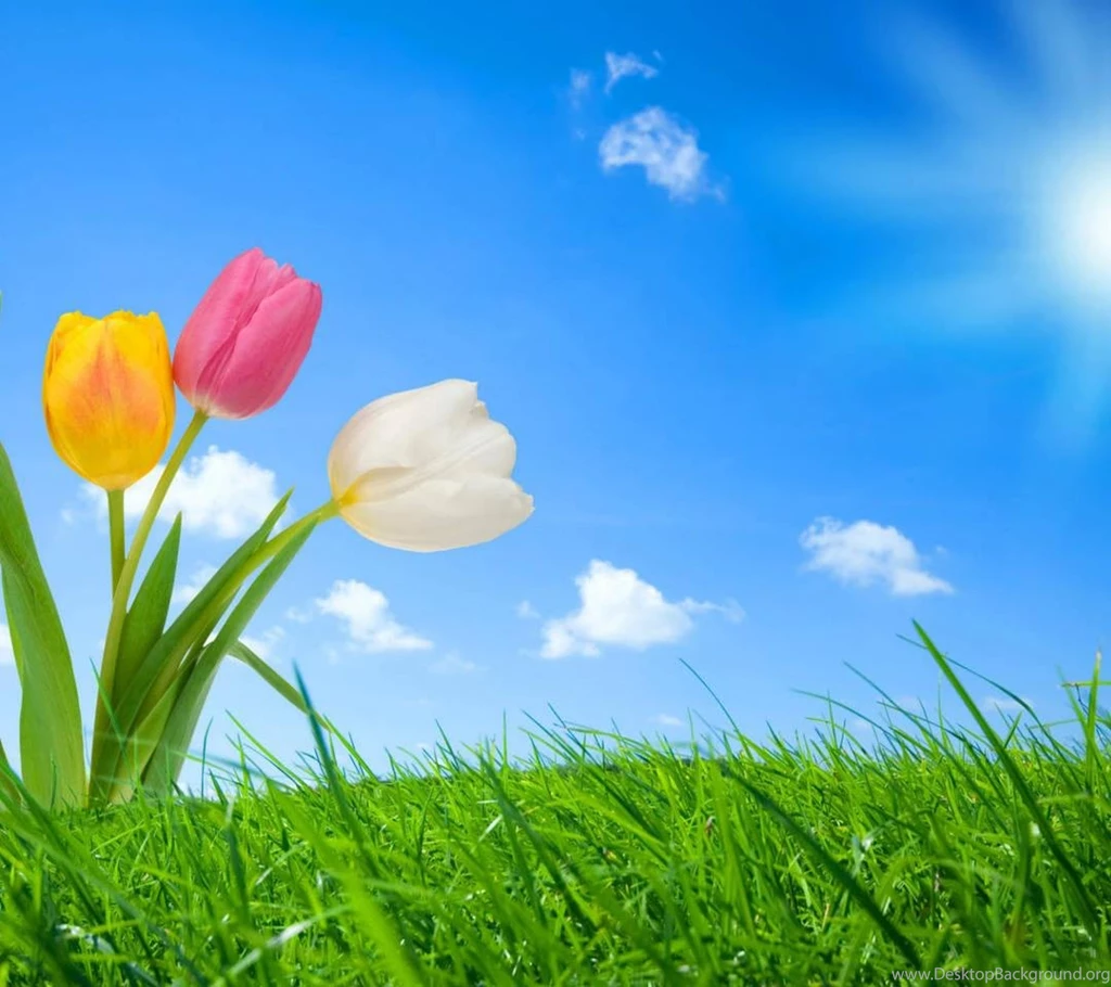Download Nature HD Live Wallpapers For Android, Nature HD Live ...