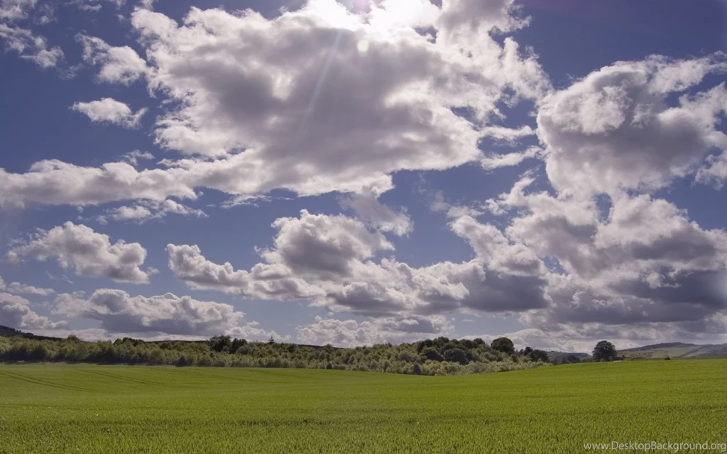 1440x900 Grass HD Desktop PC And Mac Wallpapers