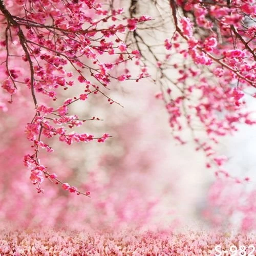 Online Get Cheap Hot Pink Backgrounds  Aliexpress.com