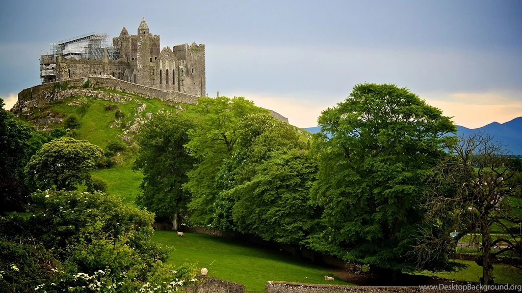 Medieval Rock Cashel Ireland Hill Sheep Castle Construction Ruins ...