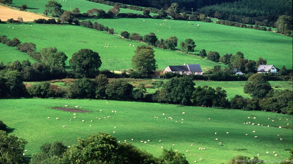 County Cork Ireland, Fields, 1920x1080 HD Wallpapers And FREE Stock ...