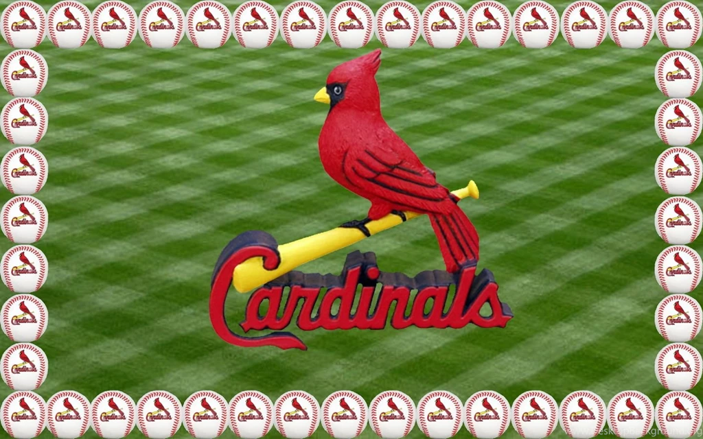 Cardinals Birds   St Louis Cardinals Wallpapers   HD Wallpapers 95143