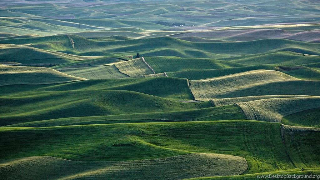 Nature Mountain Forest Landscape Fog Field Ultrahd 4k Wallpapers ...