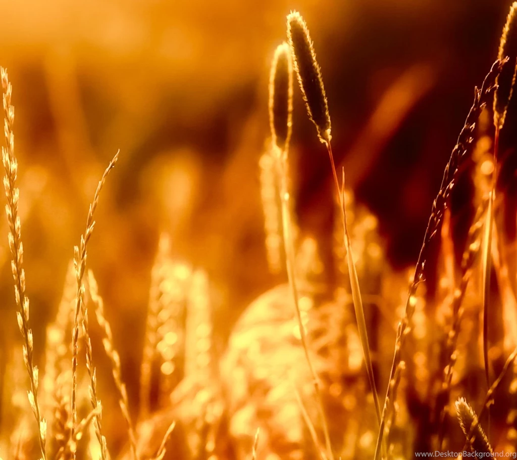 HTC Wallpapers HD   Beautiful, Stunning Top Rated Wallpapers