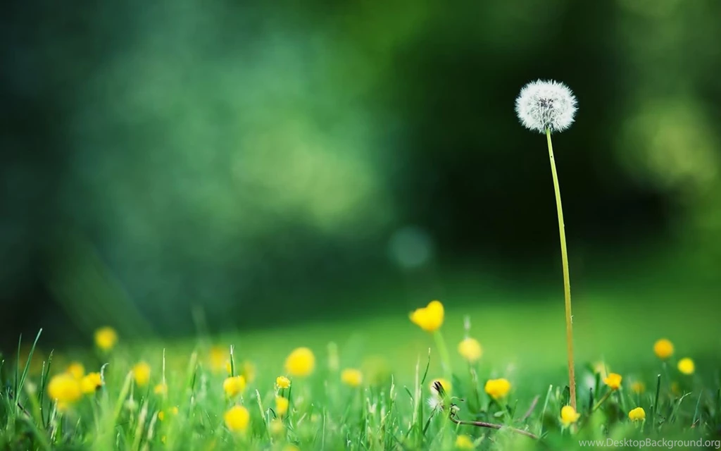 Galaxy Tab Wallpapers HD  Top Rated   Beautiful, Stunning Wallpapers