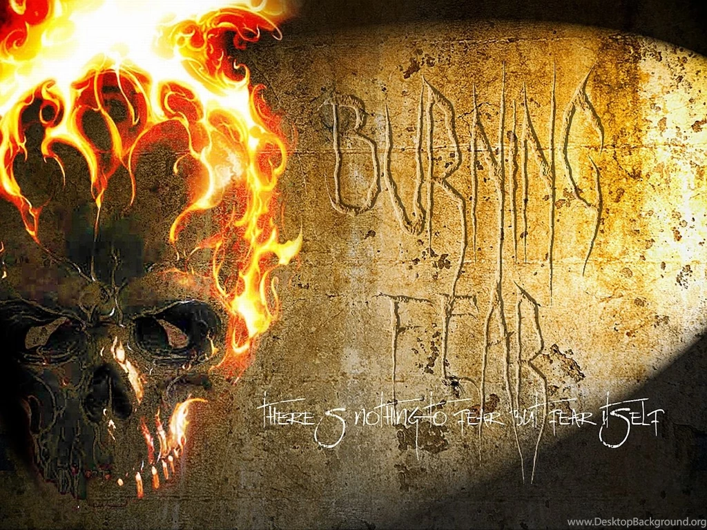 Skull Wallpaper Backgrounds