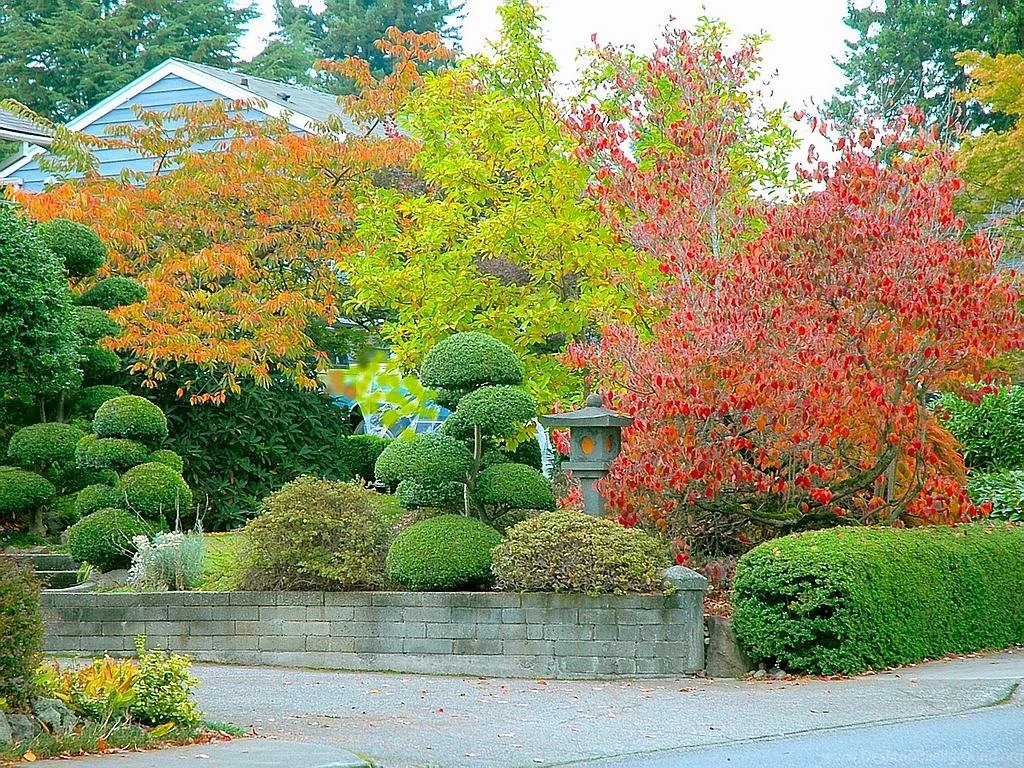 Beauty and fashion trees for hd.jpg