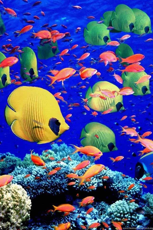 20 Best Creative, Beautiful & Colorful iPhone Wallpapers & Backgrounds