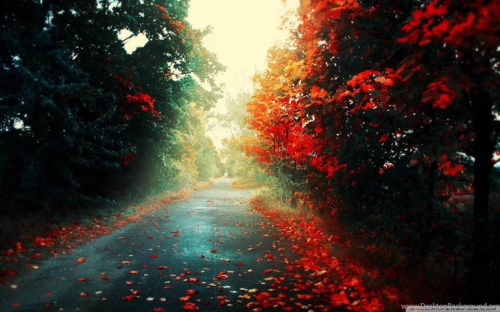 Red Trees HD Desktop Wallpapers : Mobile : Dual Monitor