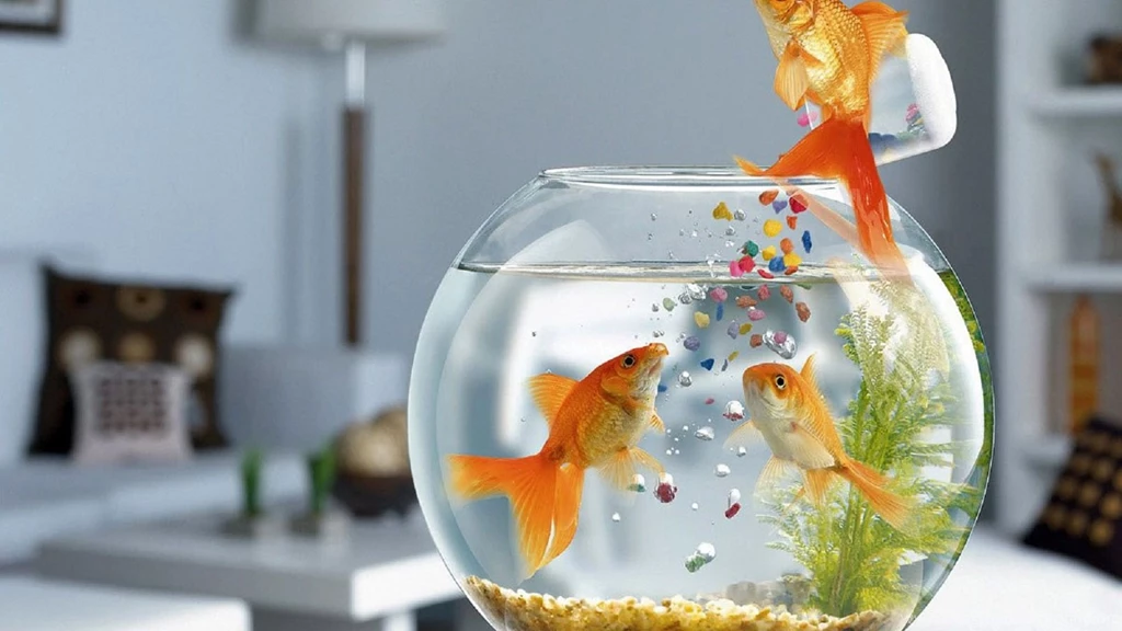Fish Tank Wallpapers, Facts, In HD Gallery