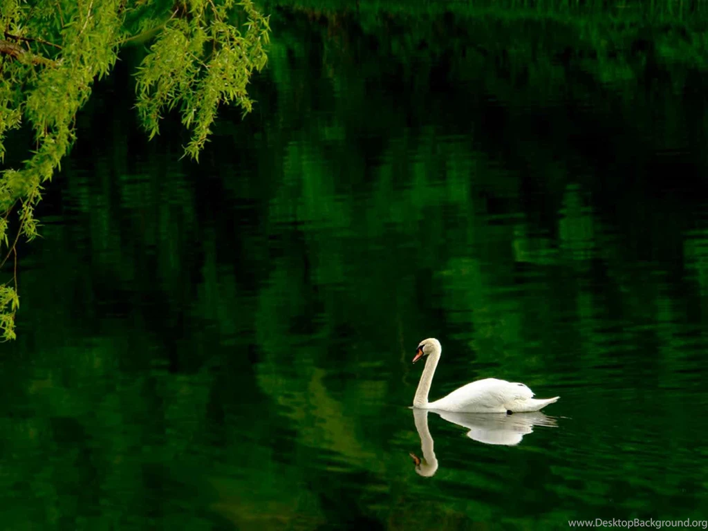 Pond Desktop Wallpapers ~ Toptenpack.com