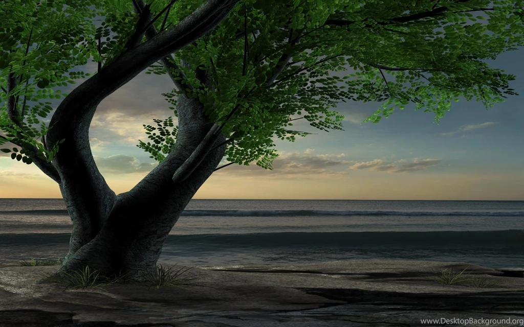 Fantasy trees wallpapers Wallpapers