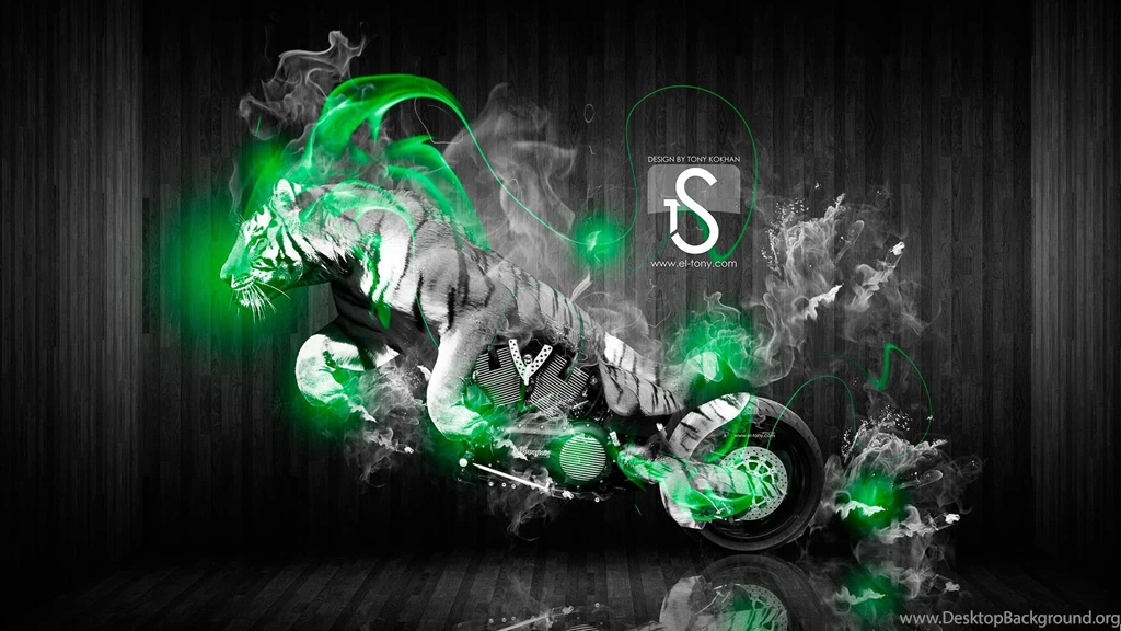 Moto Tiger Fantasy Fire 2013 « El Tony