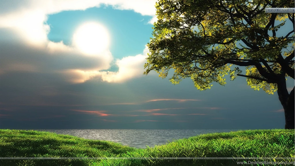 Cool Looking Sunset Scenery With Green Grass Wallpapers