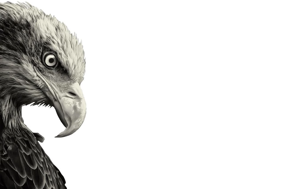 Wallpapers Hd Para Macbook Pro 13   Dresses Hd Wallpapers For ...