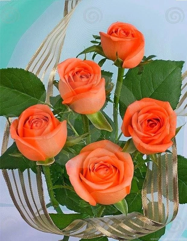 Beautiful Orange Rose Wallpaperhttp://my143rose.blogspot.com/