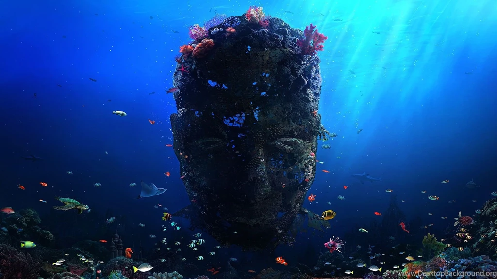 Coral Reef Wallpapers