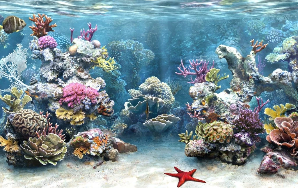 Gallery For 3d Coral Reef Backgrounds