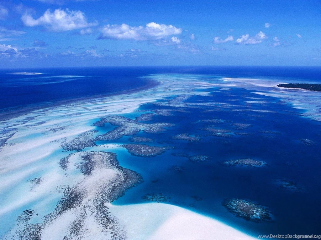 Download Coral Reef Backgrounds