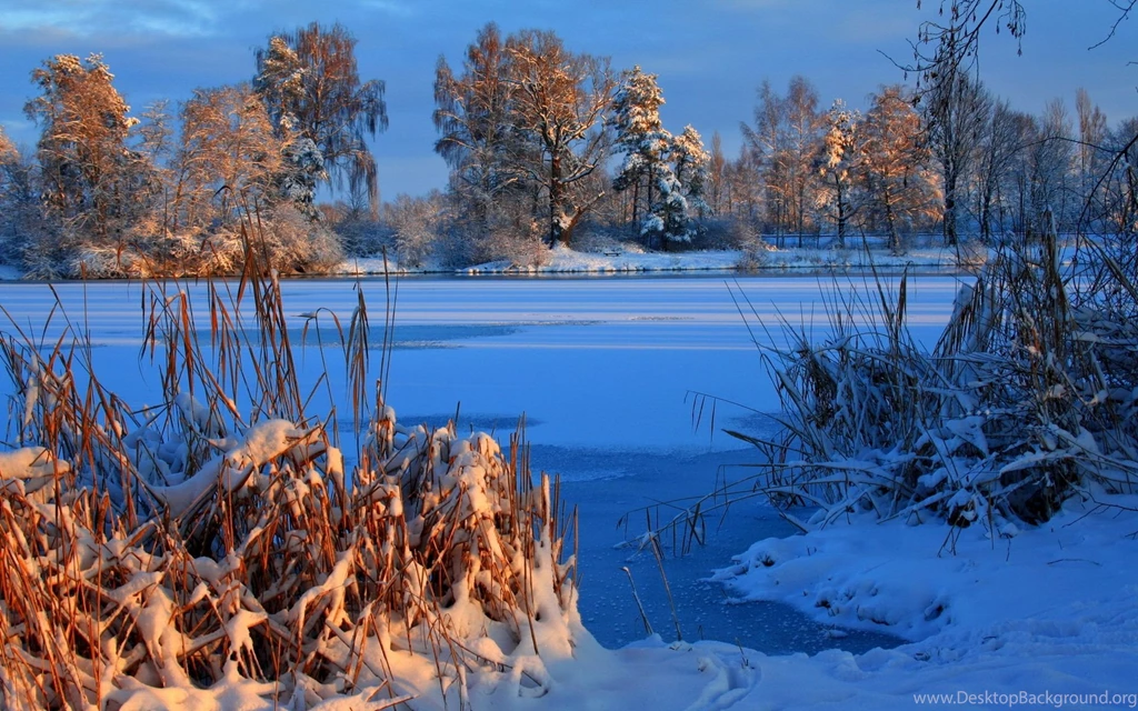 Landscapes Winter Snow Ice Frozen Shore Beaches Trees Autumn Fall ...
