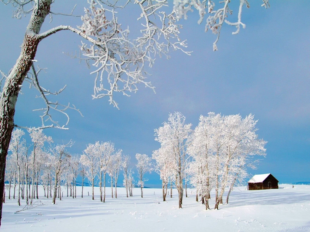 Winter Backgrounds For Desktop