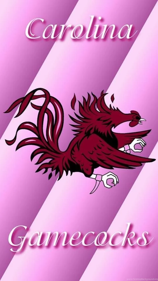 Pink Backgrounds Gamecock