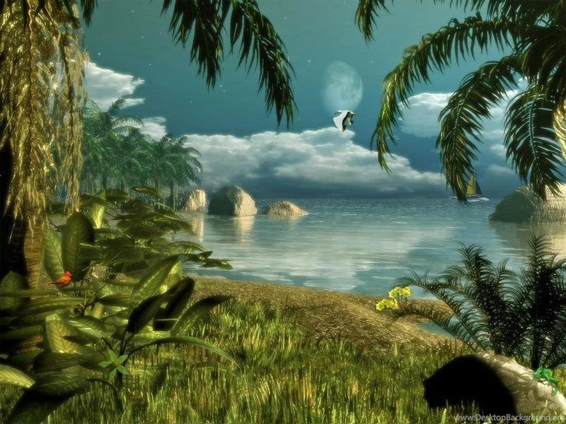 HD Wallpapers Free Stock: Animated Latest Wallpapers 2012 For Desktop