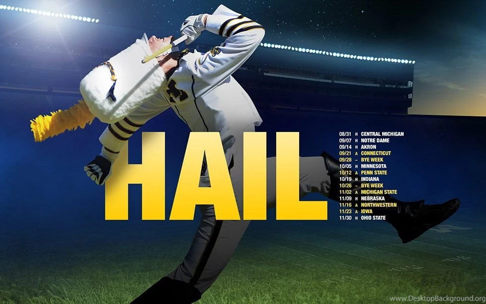 Michigan Football Fan Art   The Art. The Art. The Art!