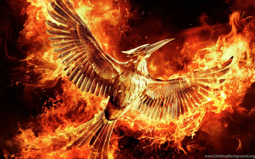 Hunger Games Mockingjay Part Full HD Fanciable Wallpapers Free HD ...