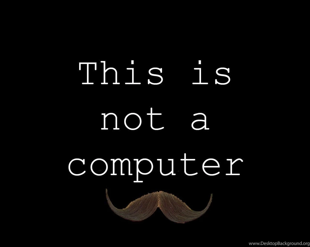 Random Funny Wallpapers   Wallpapers Cave