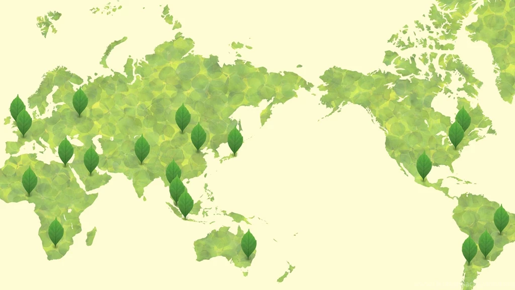 Green World Map Wallpapers Free Wide HD Wallpapers