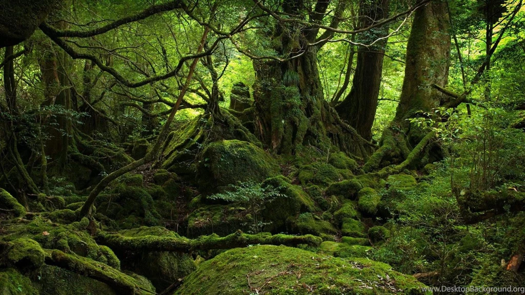 Green World >> HD Wallpaper, Get It Now!