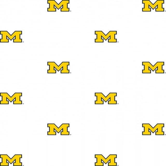 NCAA Michigan Wolverines College Logo Double Wallpapers Roll ...