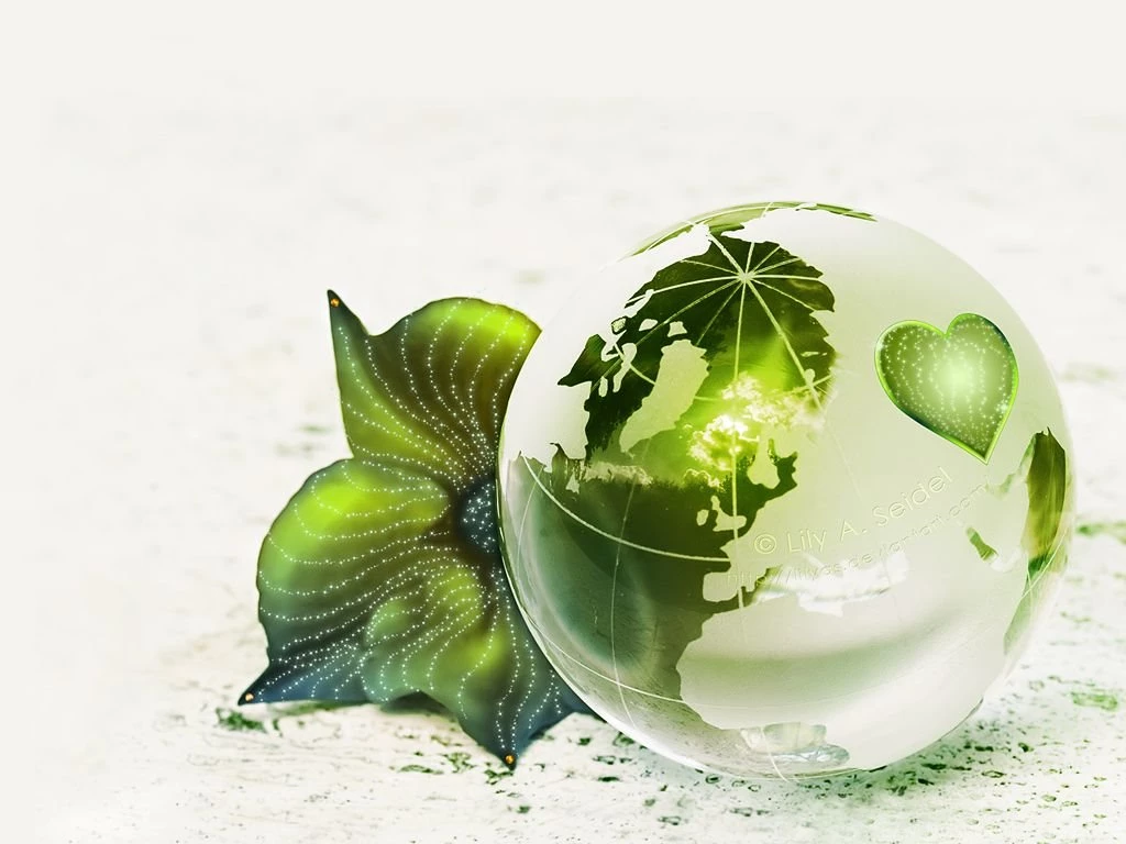 My Whole World For YOU WP By Lilyas On DeviantArt