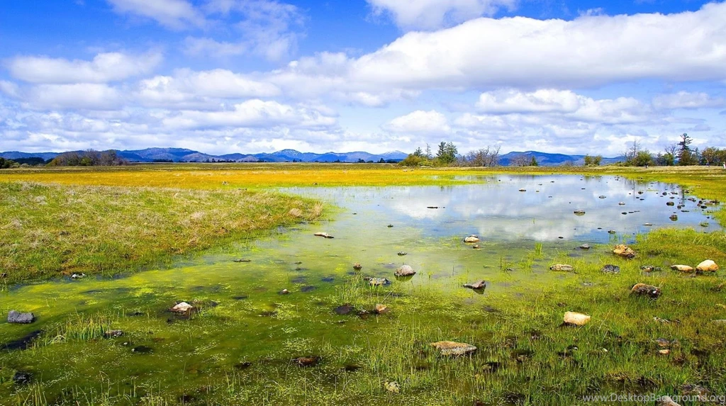 Green Nature World Romatic View Wallpapers Wallpapers