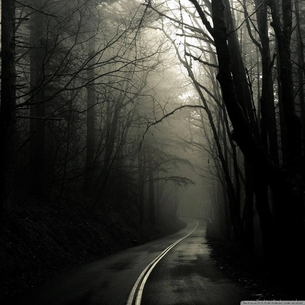 Dark Road Forest HD Desktop Wallpapers : High Definition ...