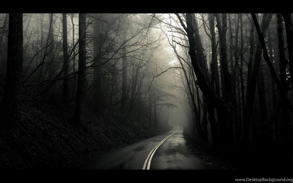 Black White Trees Dark Forest Roads Monochrome Photos >> HD ...