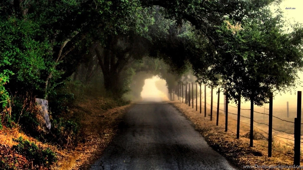 Dark Road, Tree, Fence, Nature, 1920x1080 HD Wallpapers And FREE ...