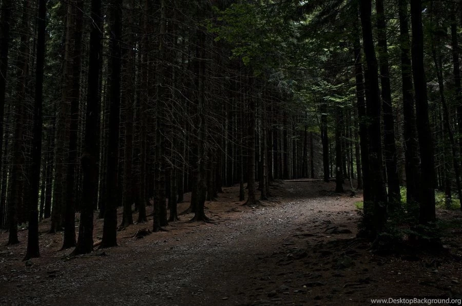 Dark Road By Kinfolk On DeviantArt