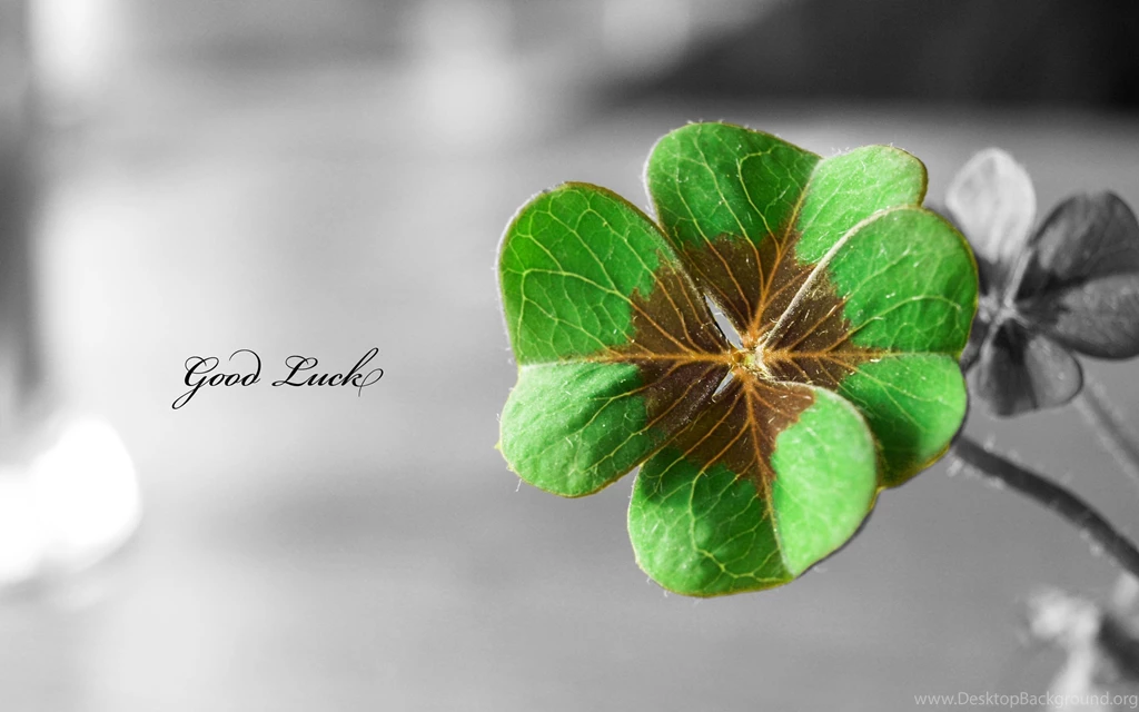 Good Luck HD Wallpapers