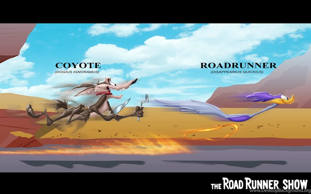 8 Road Runner HD Wallpapers