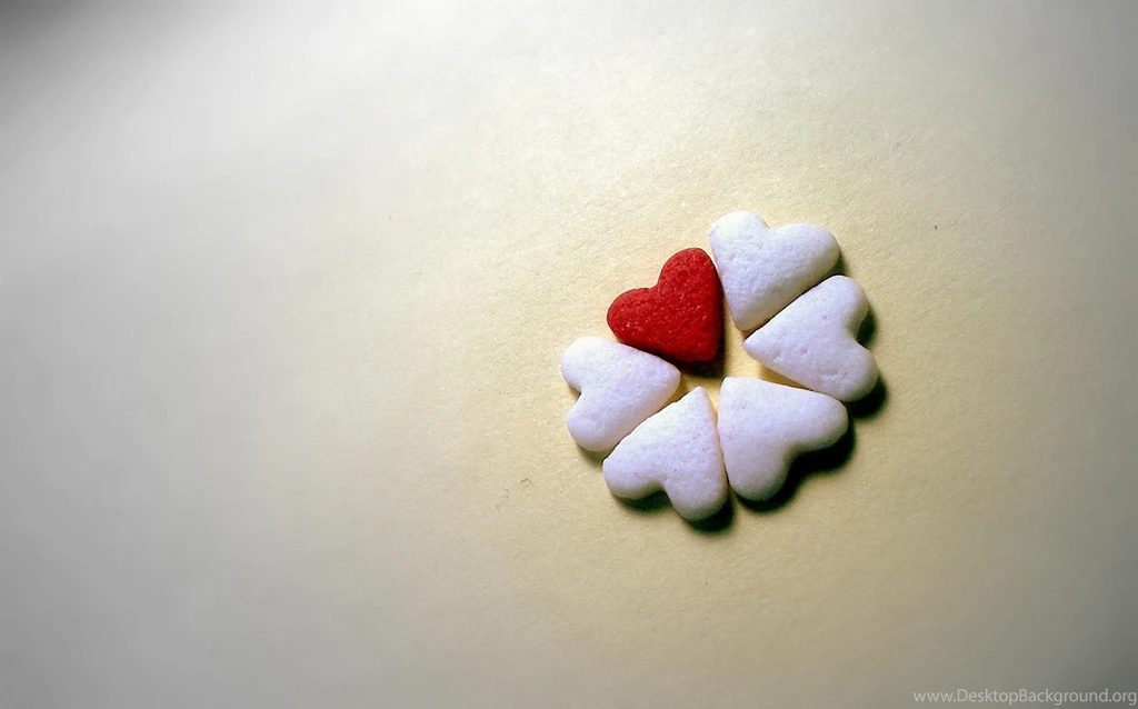 Only You Flower HD Wallpapers New HD Wallpapers
