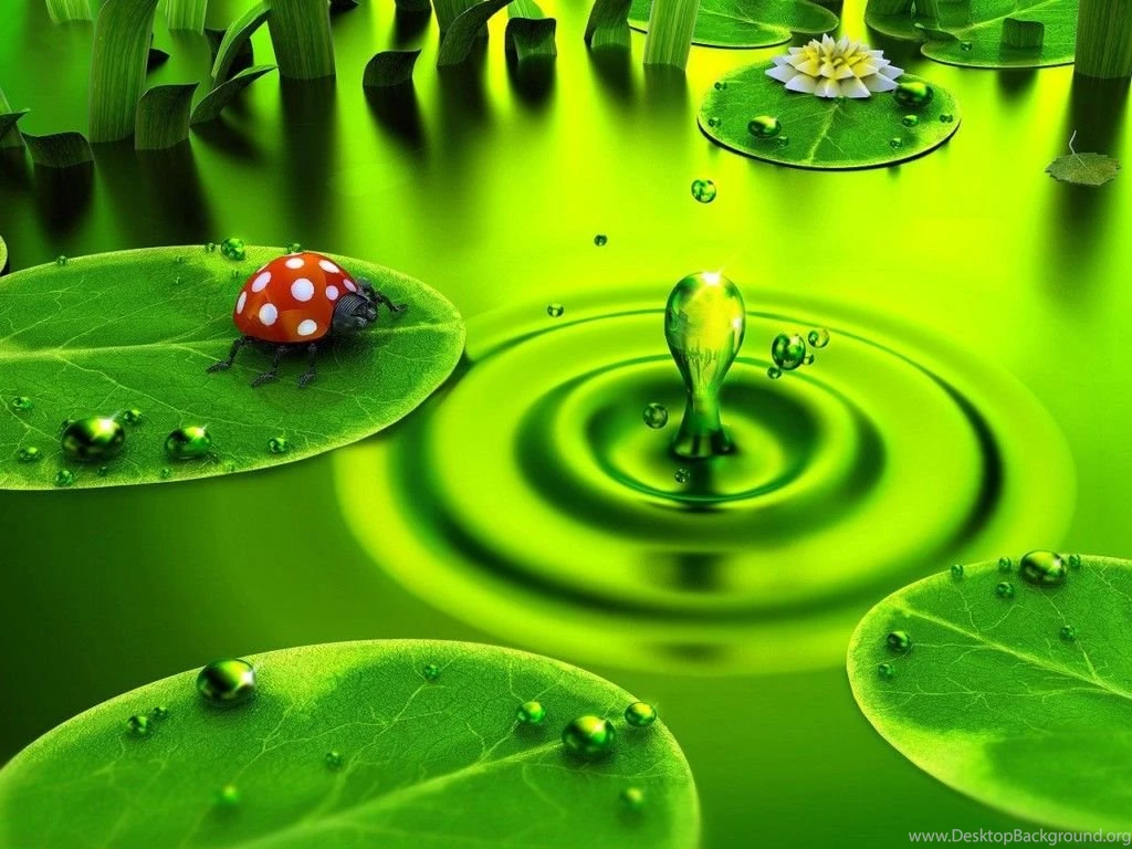 Wallpapers Download 13 Best Wallpapers Collection