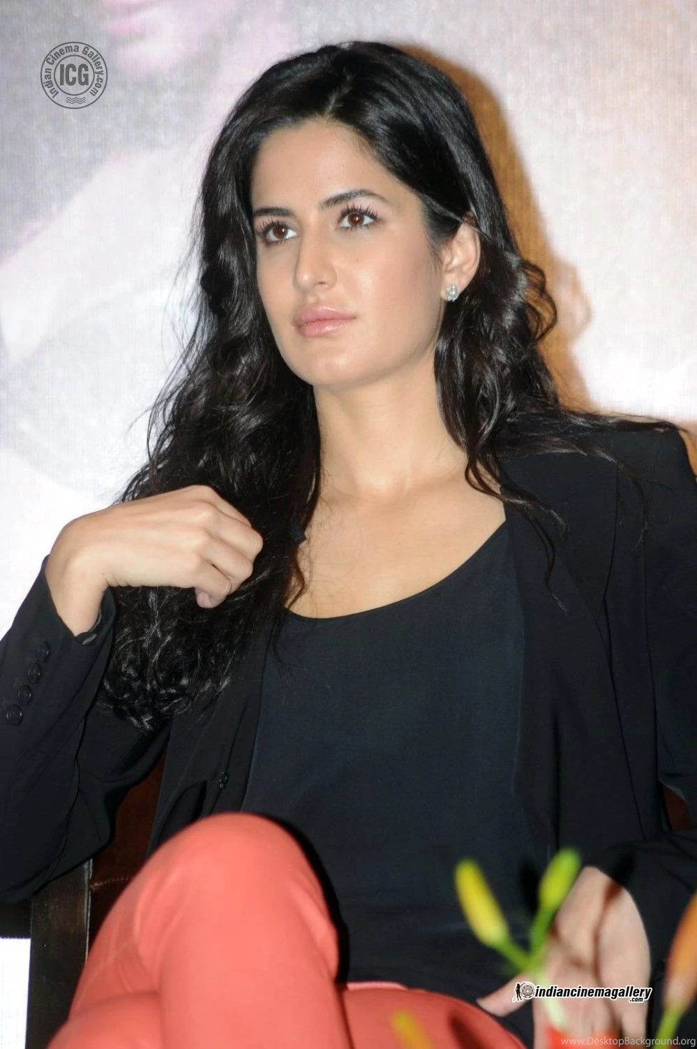 Katrina Kaif Katrina Kaif At Dhoom 3 Press Meet (9)