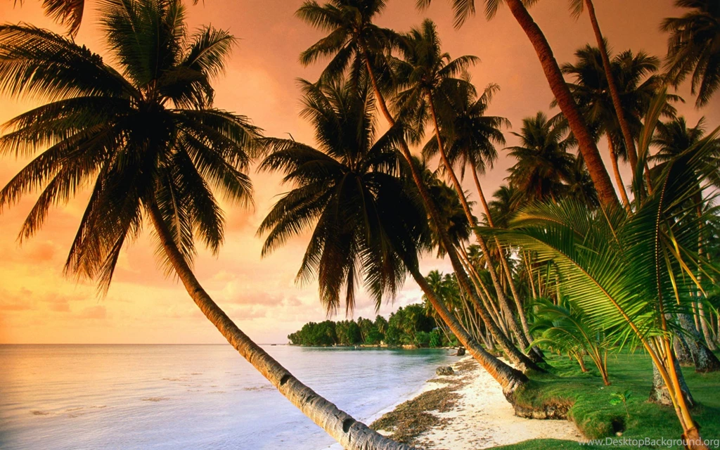 Exotic Sunset 1772x864px